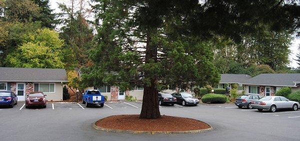 Monroe Square Apartments