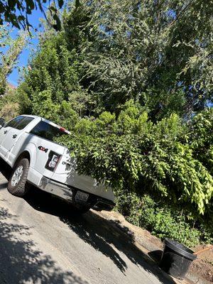 Garridos Landscaping