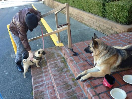 Christ Church of the Bay Area