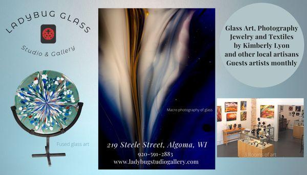 Ladybug Glass - Studio & Gallery
