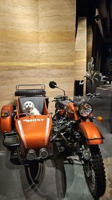 Moxy Downtown Los Angeles