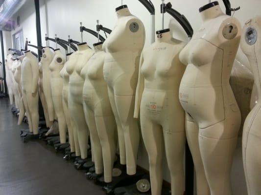 Bust forms galore!!!!