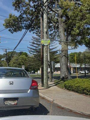 Illegally posted sign.