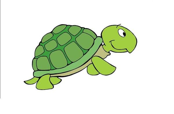 Tiny Turtles Childcare