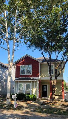 New Braunfels Tree Service Pros