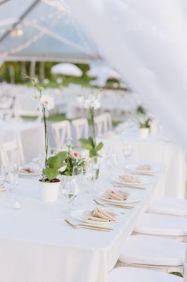 credits: @nikkirophoto