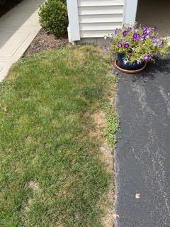 McKinney Landscaping