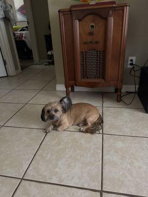 Ocala Veterinary Hospital