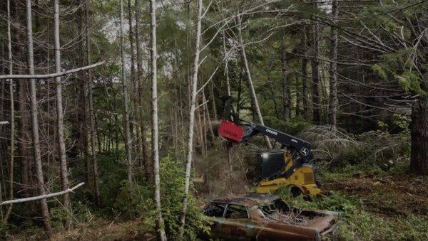 Angell Excavation and Forestry