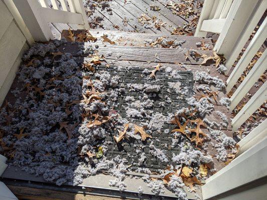 Chesapeake Property Services