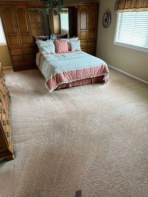 Avi Carpet Cleaning