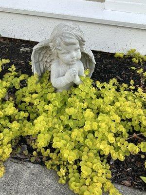 Driscoll's Garden Gifts & Memorials