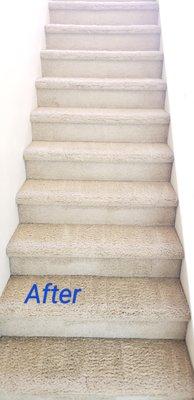 Carpetech Carpet Cleaning