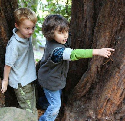 Tender Tracks Tales & Trails