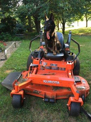 After mowing the yard