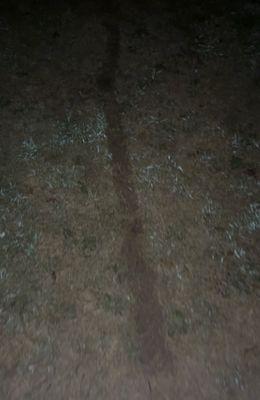 Pry's Towing & Automotive