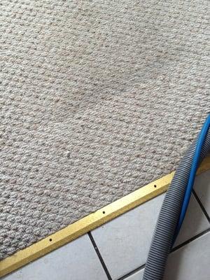 Peter's Quality Carpet Service