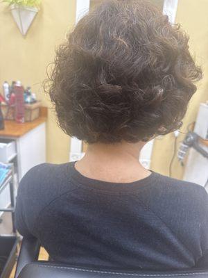 Studio 1074 Hair Designs