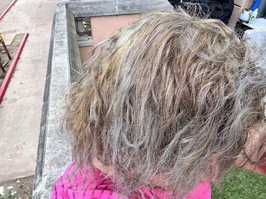 . A +20 yr experience supposedly.