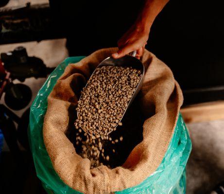 Pacific Coffee Research