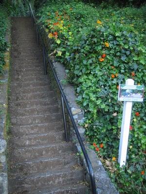 Belvedere Neighborhood