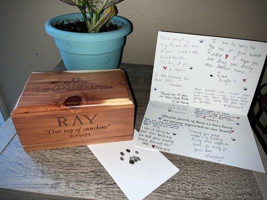 Napa Small Animal Hospital