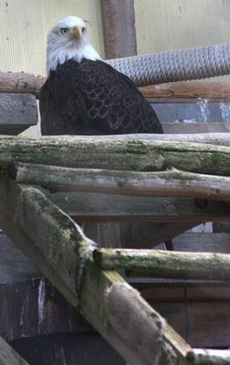 Wildlife and Ecology Center