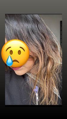 What my hair looked like to start off with, I let my root grow out for 1 year to have fresh partial balayage . Ended up with a mess.