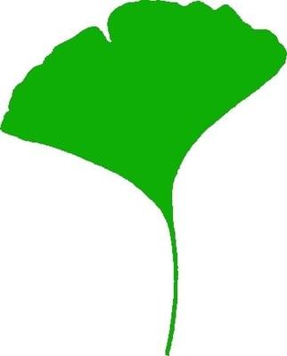 Christl Denecke Attorney At Law