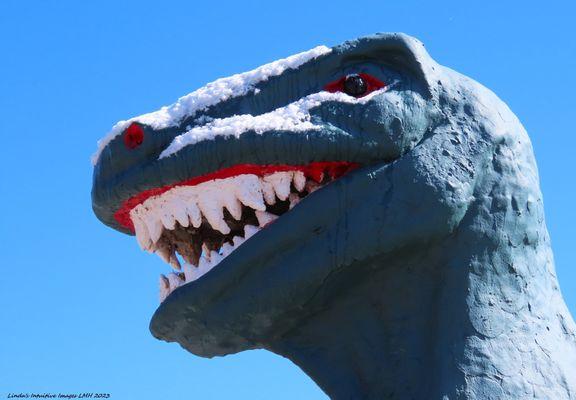 Grand Canyon Caverns