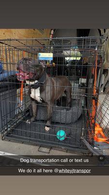 Whitey & J Transport