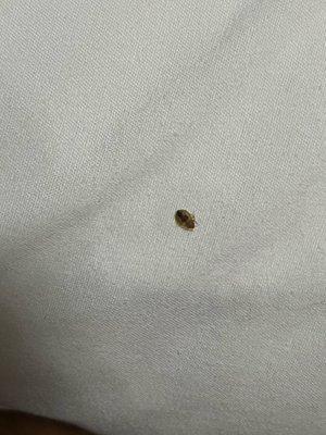 1st Interstate Inn Montrose