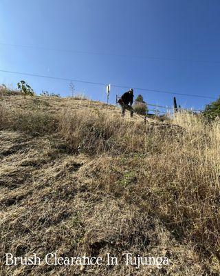 Waste Unlimited Brush Clearance & Tree Service