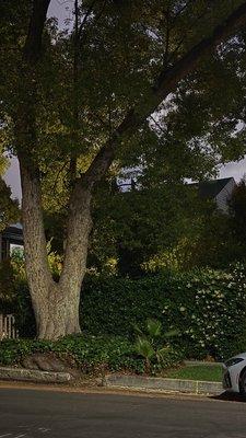 A Nightmare On Elm Street House