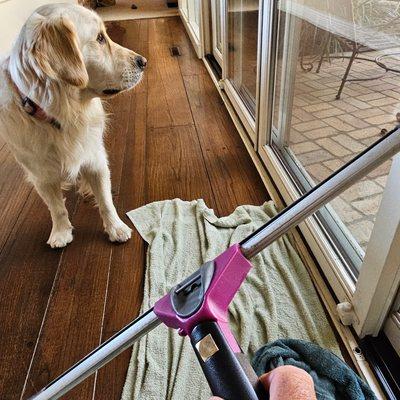 Smitty's Window Cleaning