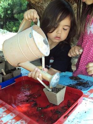 Montessori Child Development Center - Poway
