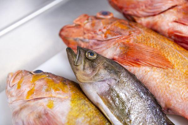 Local seafood from local fishermen.
