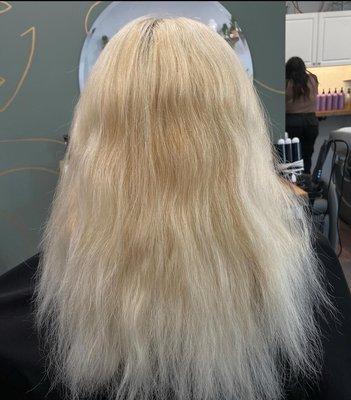 The Clip Shop - Williamstown