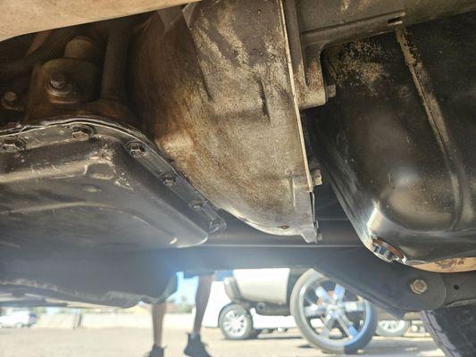 Transmission still leaking