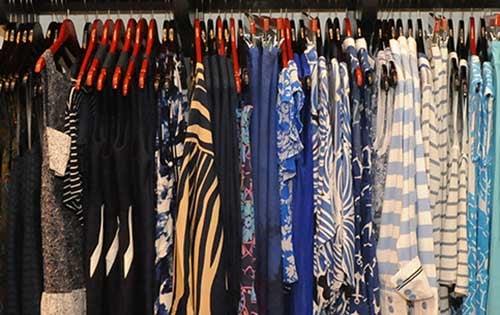 Scout & Molly's Sawgrass