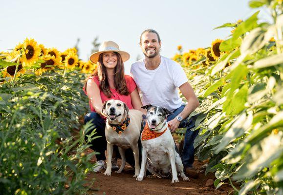 Vetly - Veterinary Pet Care Specialists