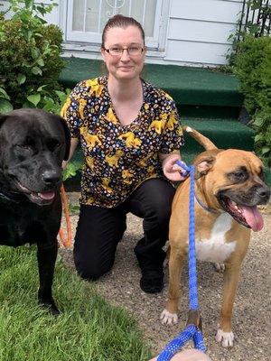 Pet Grooming and Care