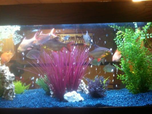 Great place for surgery. Staff is friendly and helpful.