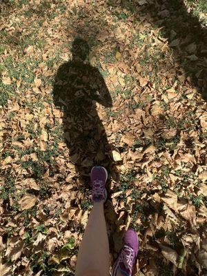 Looks like Fall in July!