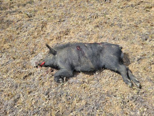 Rocky Ridge Hunting Club