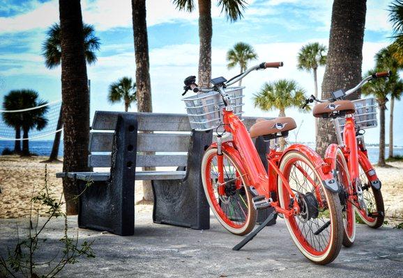 Ebike Rentals