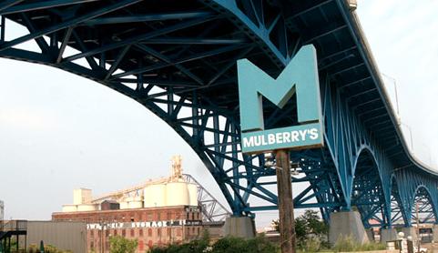 Mulberry's