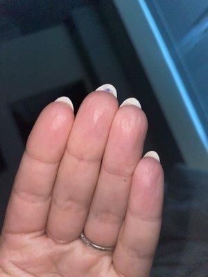 The Polish Nail Lounge