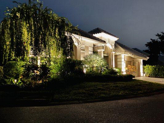 Night Wolf Outdoor Lighting