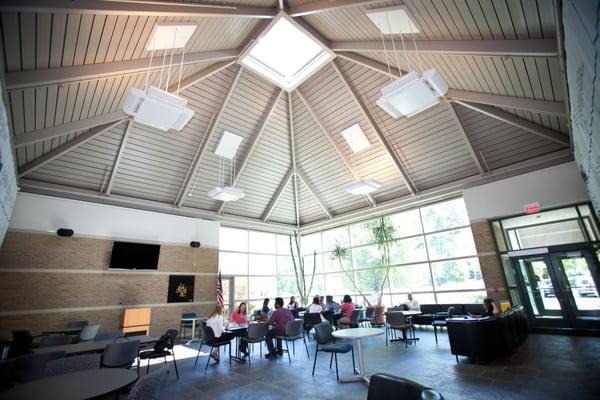 Michigan School of Psychology